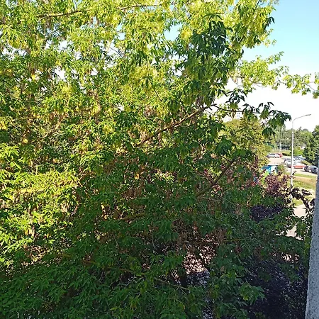 Sokola Deluxe 2 Free Parking Poznan