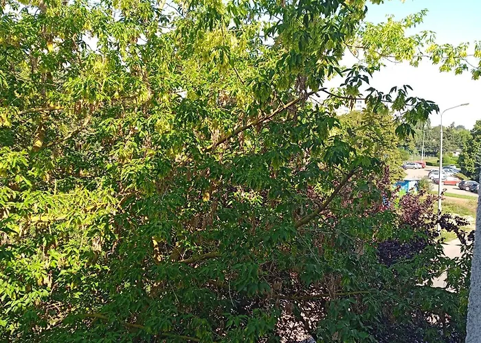 Sokola Deluxe 2 Free Parking Poznan