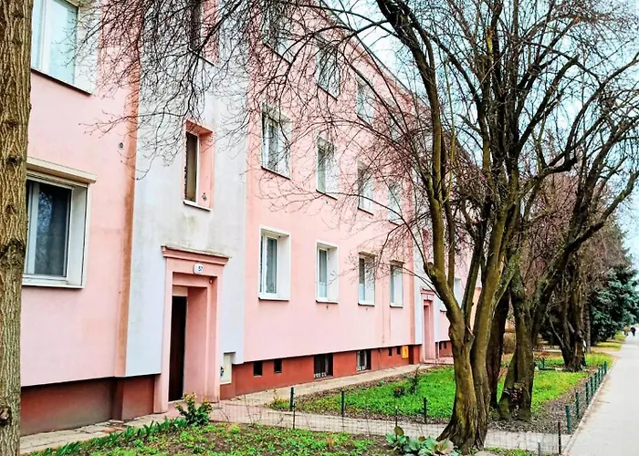 Sokoła Deluxe 2 Free Parking